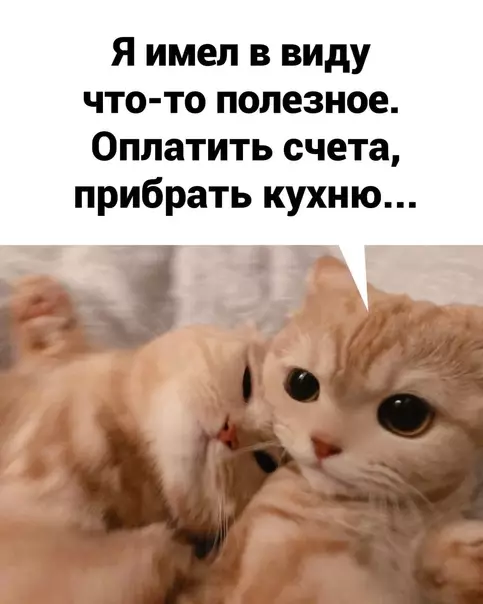 продолжение Смешная картинка №572761