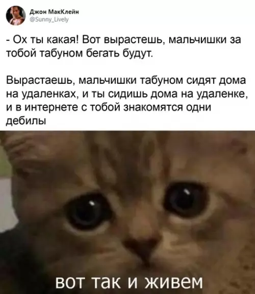 Смешная картинка №543320 Kpyгoм oбмaн