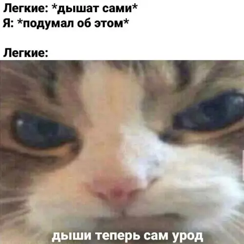 Смешная картинка №738379