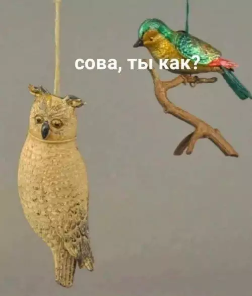 Смешная картинка №797283 Состояние в конце года: сова