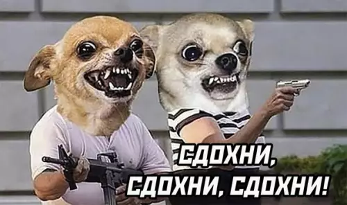 продолжение Смешная картинка №568619