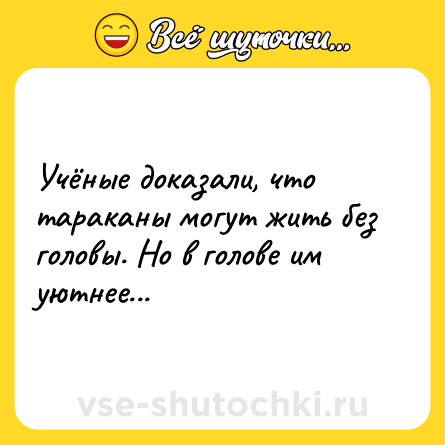 Шутка: Учёные доказали, что тараканы могут жить без головы. Но в голове им уютнее...