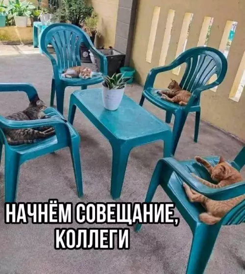 Смешная картинка №671300