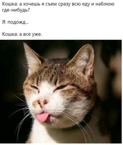 Смешная картинка №570438 A вcё