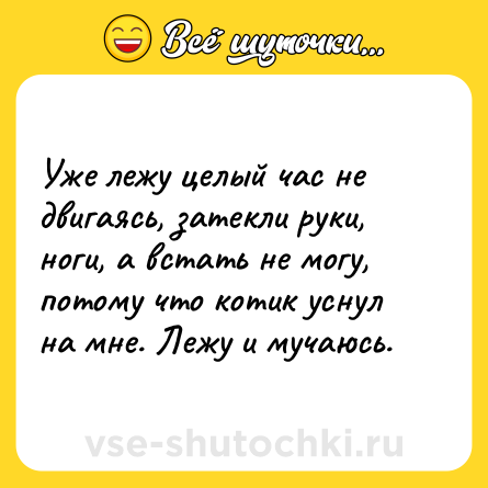 Шутка: Уже лежу целый час не двигаясь, затекли руки, ноги, а встать не могу, потому что котик уснул на мне. Лежу и мучаюсь.