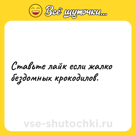 Шутка: Ставьте лайк если жалко бездомных крокодилов.