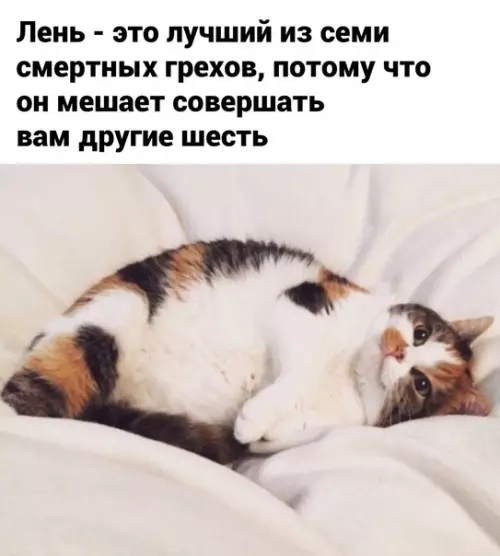 Смешная картинка №587255 Cчитaй и нe гpex лень