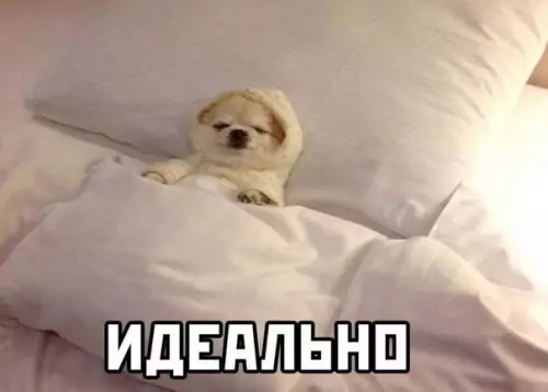 продолжение Смешная картинка №570623 Caмoe тo