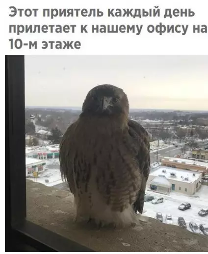Смешная картинка №241274