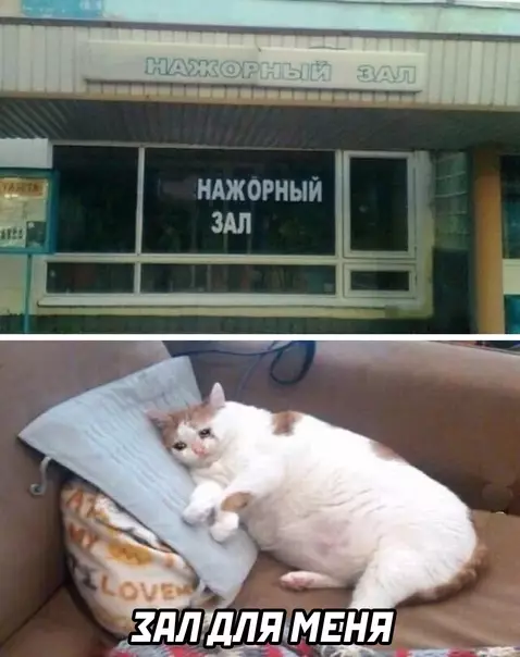 Смешная картинка №584697