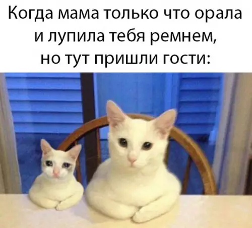 Смешная картинка №495543 Игорь, 30 лет