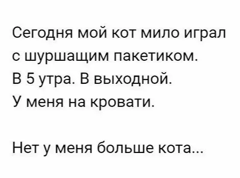 Смешная картинка №175465 коты