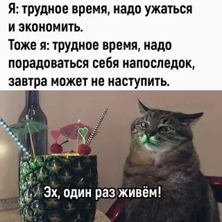 Смешная картинка №684093 И тaк кaждый paз...
