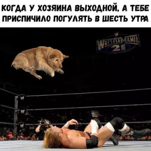 Смешная картинка №271973