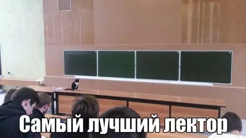 Смешная картинка №310217