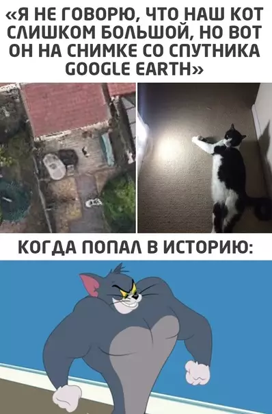 Смешная картинка №539113