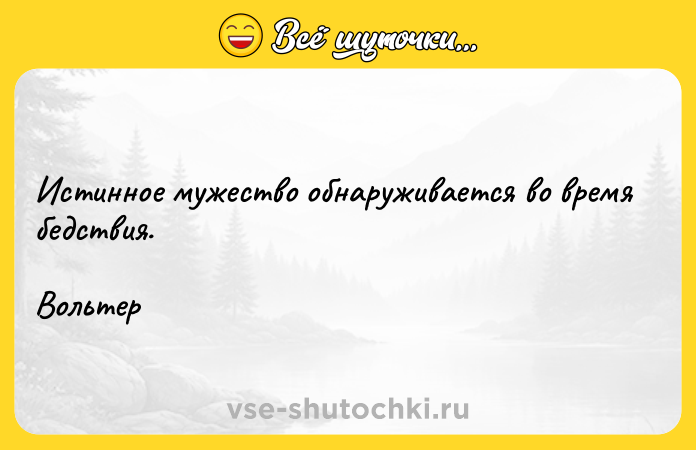Цитата: Истинное мужество обнаруживается во время бедствия. Вольтер