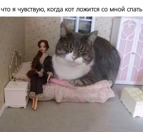 Смешная картинка №492794