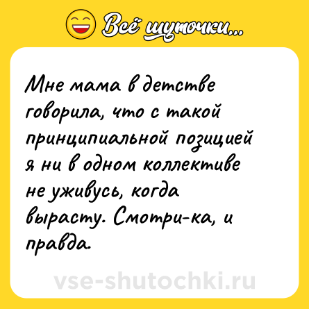 Шутка: Мне мама в детстве говорила, что с такой принципиальной позицией я ни в одном коллективе не уживусь, когда вырасту. Смотри-ка, и правда.