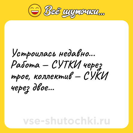 Шутка: Устроилась недавно... Работа — СУТКИ через трое, коллектив — СУКИ через двое...