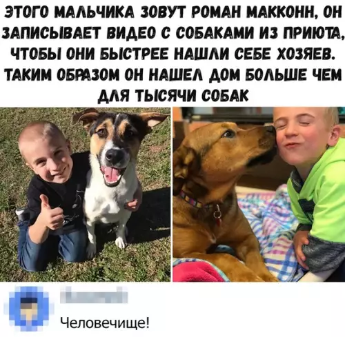 Смешная картинка №381465 Герой!