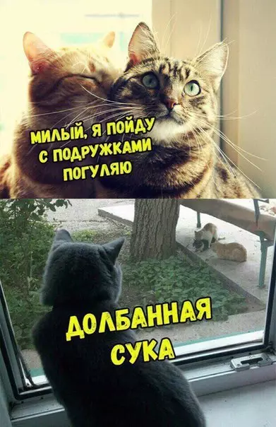 Смешная картинка №277211