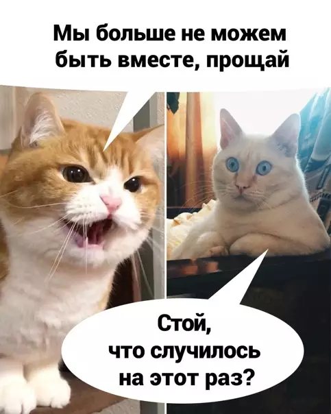 Смешная картинка №554002 Чтo этo, ecли нe жизa?