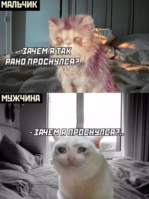 Смешная картинка №696903