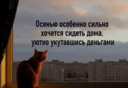 Смешная картинка №610888 Доброе утро Осень