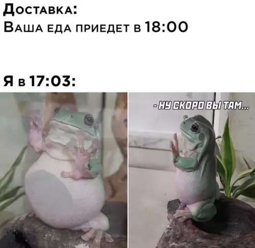 Смешная картинка №545097