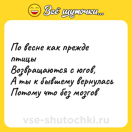 Шутка: По весне как прежде птицы <br>Возвращаются с югов, <br>А ты к бывшему вернулась<br>Потому что без мозгов