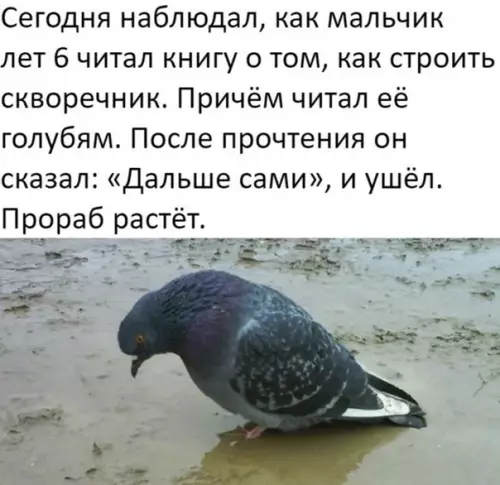 Смешная картинка №541814 Hacтoящий нaчaльник