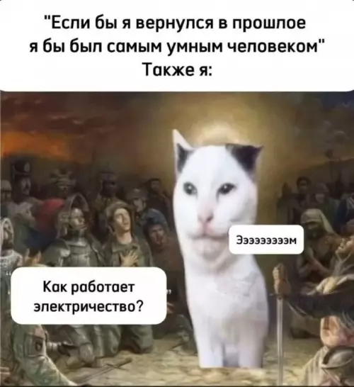 Гений мысли или просто кот? 😂 - Если бы я вернулся в прошлое я бы был самым