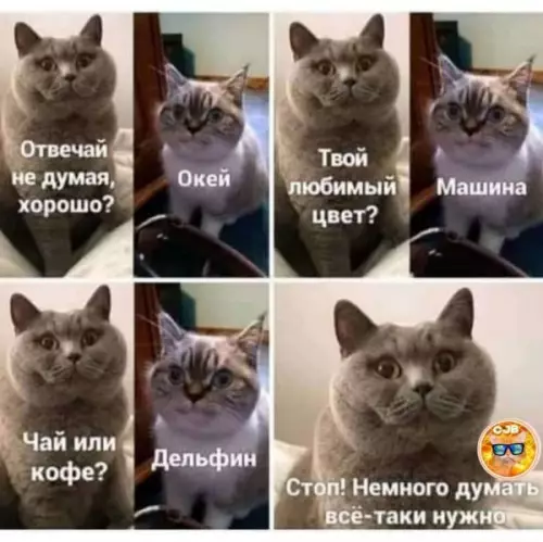 Смешная картинка №609834