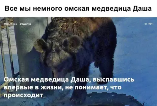 Смешная картинка №347351