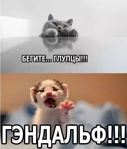 Смешная картинка №174409