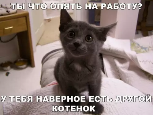 Смешная картинка №194202