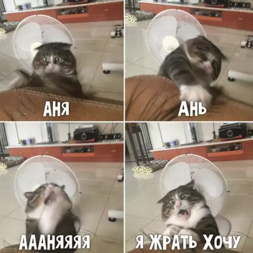 Смешная картинка №283529