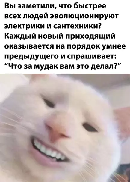 Смешная картинка №518204