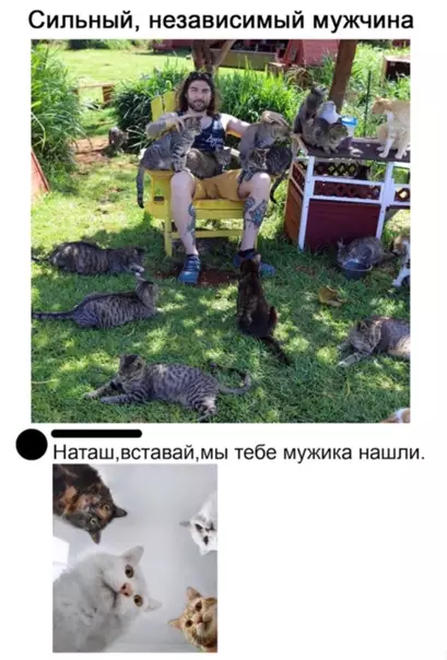 Смешная картинка №555704 Не мужчина, а мечта наташа и кошки