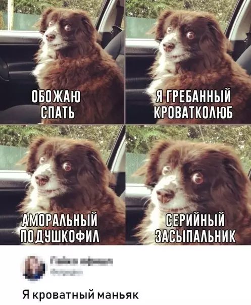 Смешная картинка №312906 А ты кто?☺