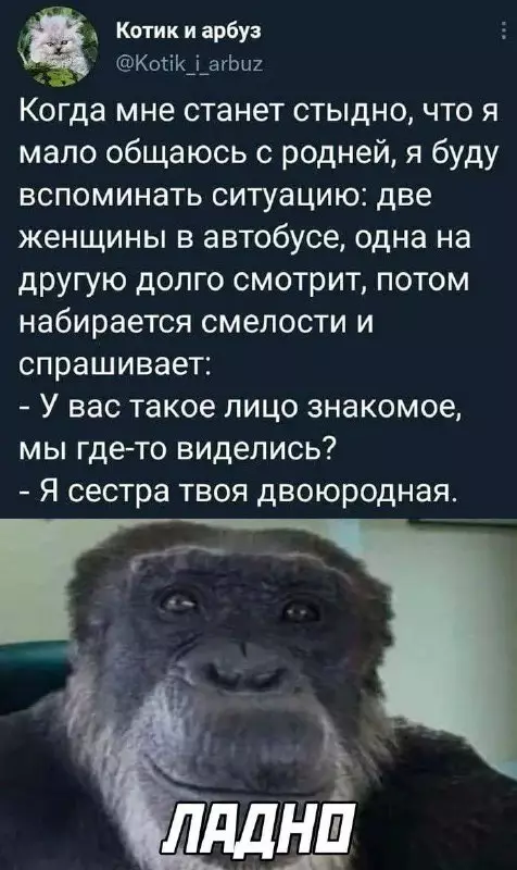 Смешная картинка №726990 родственники