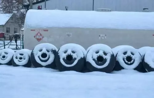 Смешная картинка №797220