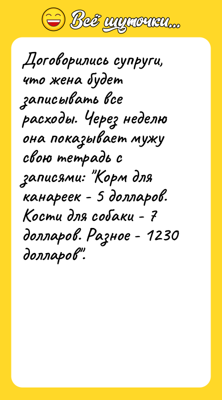 Договорились супруги, что жена будет записывать все расходы. Через неделю