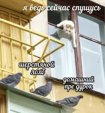 Смешная картинка №764673