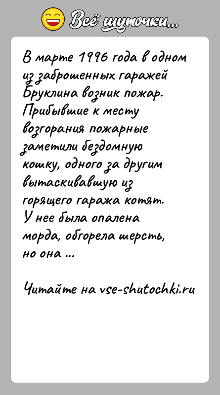История: В марте 1996 года в одном из заброшенных гаражей Бруклина возник пожар. Прибывшие к месту возгорания пожарные заметили бездомную кошку,