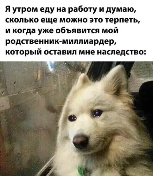 Смешная картинка №532726
