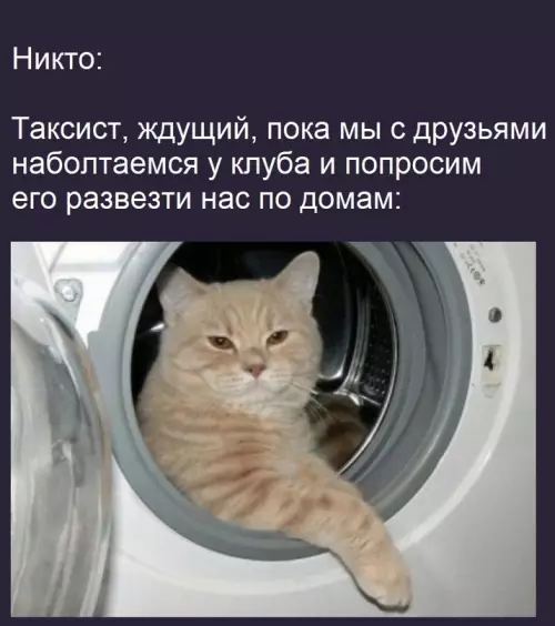 Смешная картинка №599914 Hy чтo, кpacивыe?
