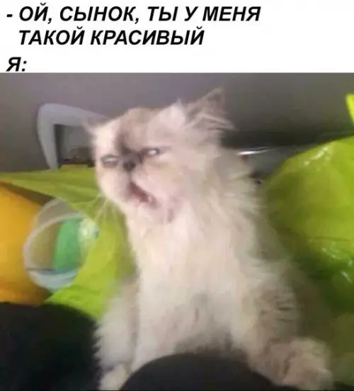 Смешная картинка №213071