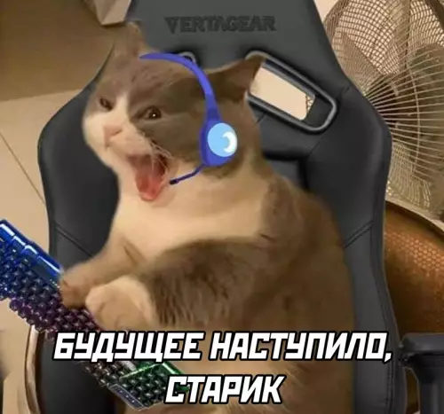 продолжение Смешная картинка №645894